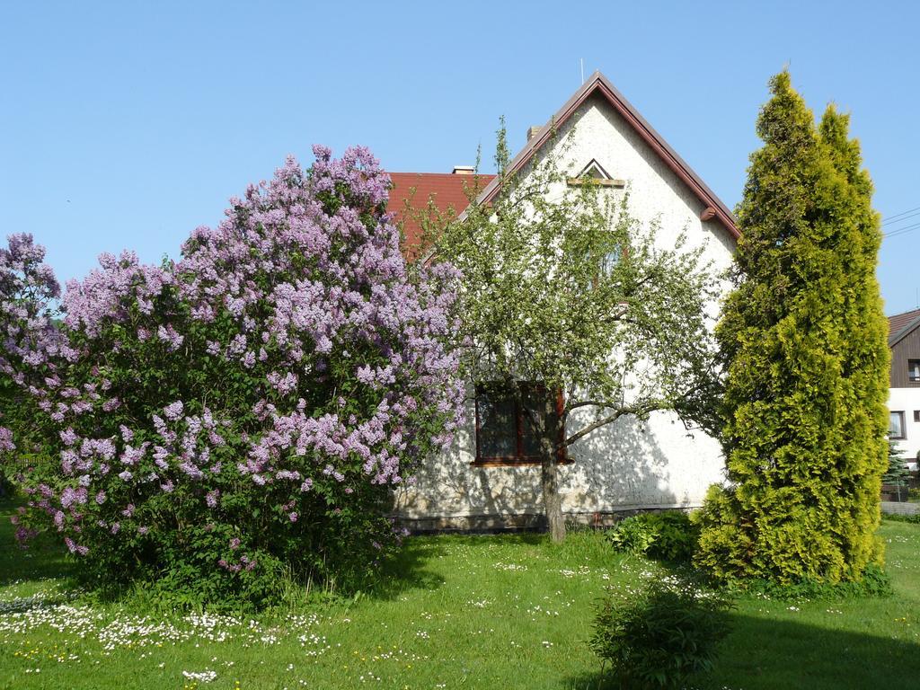 Apartmany Snezenka Destne v Orlickych horach Exterior photo